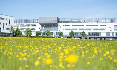A low angle image of 69ý Campus with flowers in the foreground
